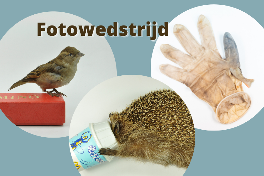 Verlengd: fotowedstrijd ‘invloed van de mens op de natuur’ Verlengd: fotowedstrijd ‘invloed van de mens op de natuur’
