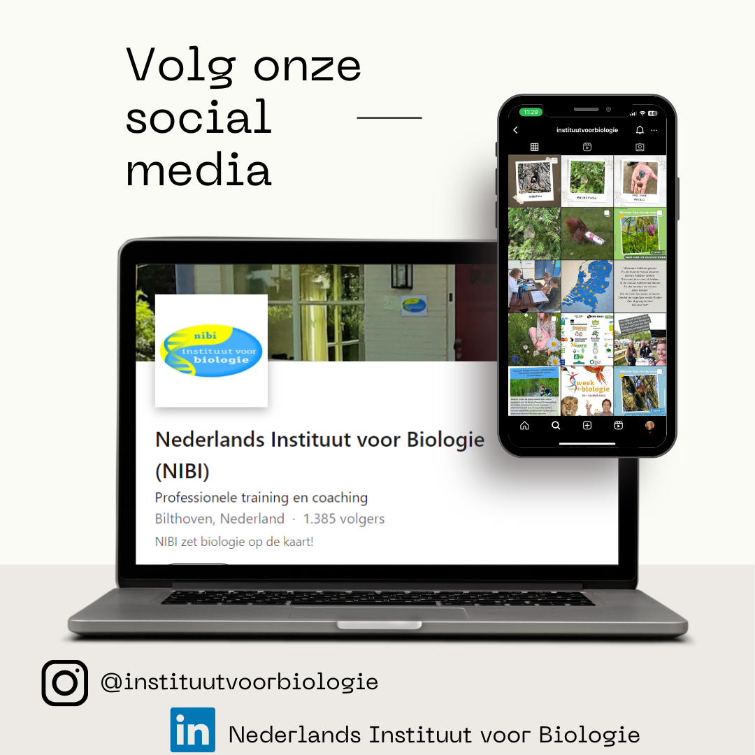 NIBI stopt met X! Volg ons voortaan op LinkedIn en Insta