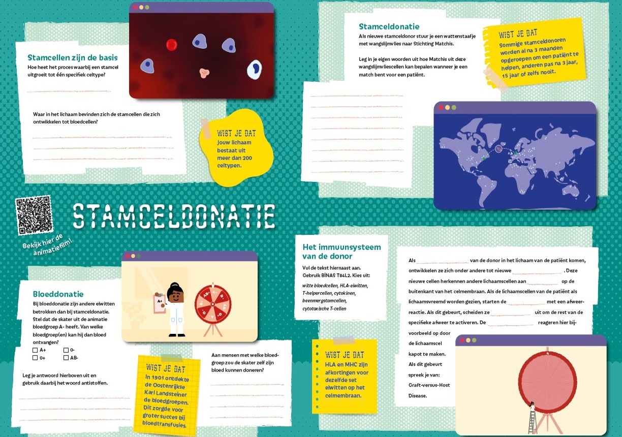Nieuw lesmateriaal over stamceldonatie: placemat en kaartspel
