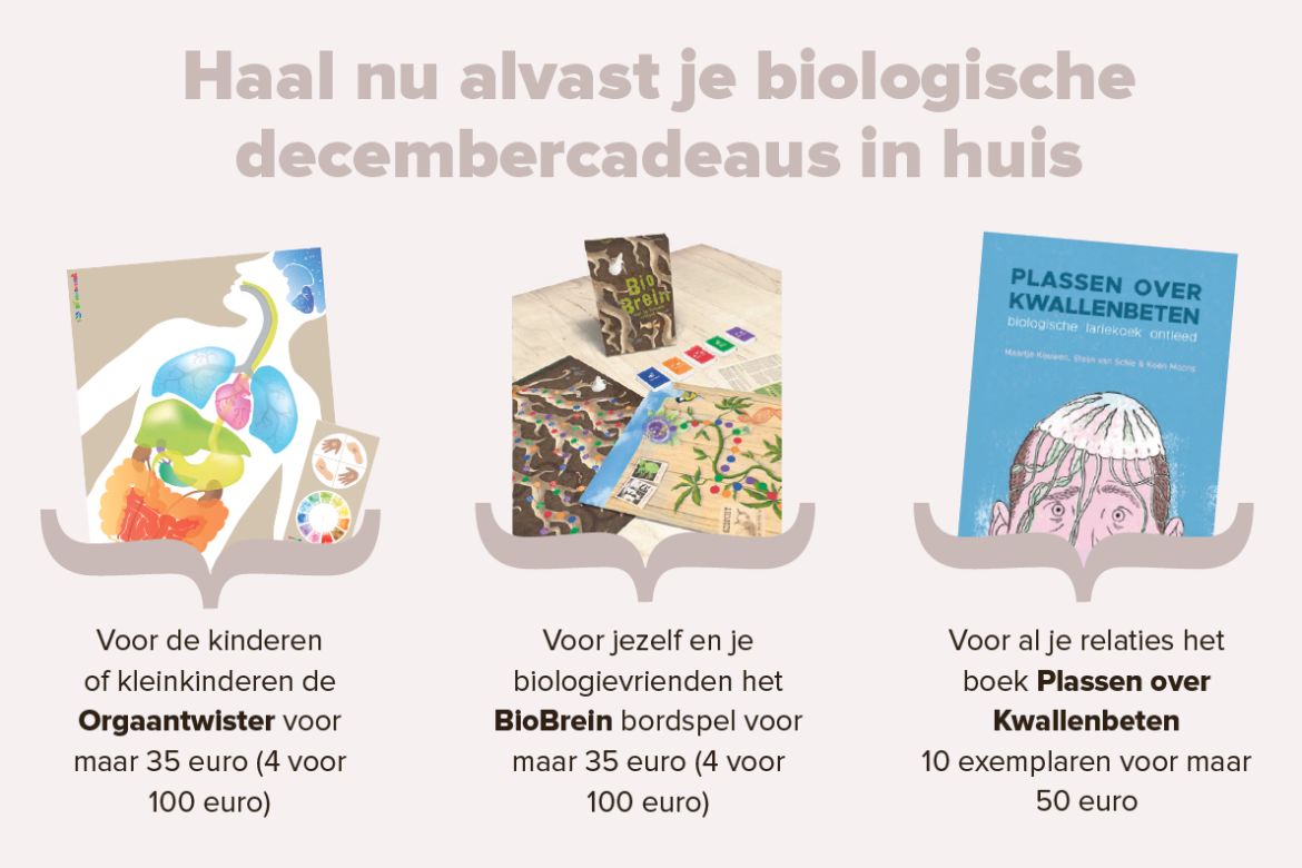 Biologische decembercadeaus