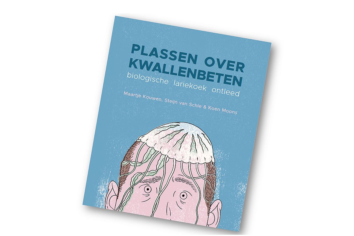 Plassen over kwallenbeten Plassen over kwallenbeten