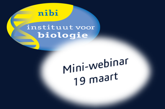 Eerste NIBI mini-webinar over het puberbrein en gamification