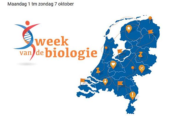 25 grootste misvattingen