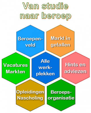 Externe arbeidsmarktsite: van studie naar beroep