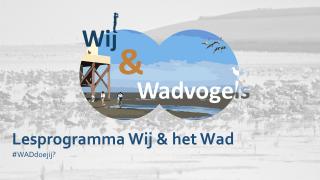 Wij & het Wad