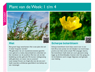 PlantKracht vmbo