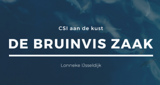 CSI aan de kust - de bruinvis zaak